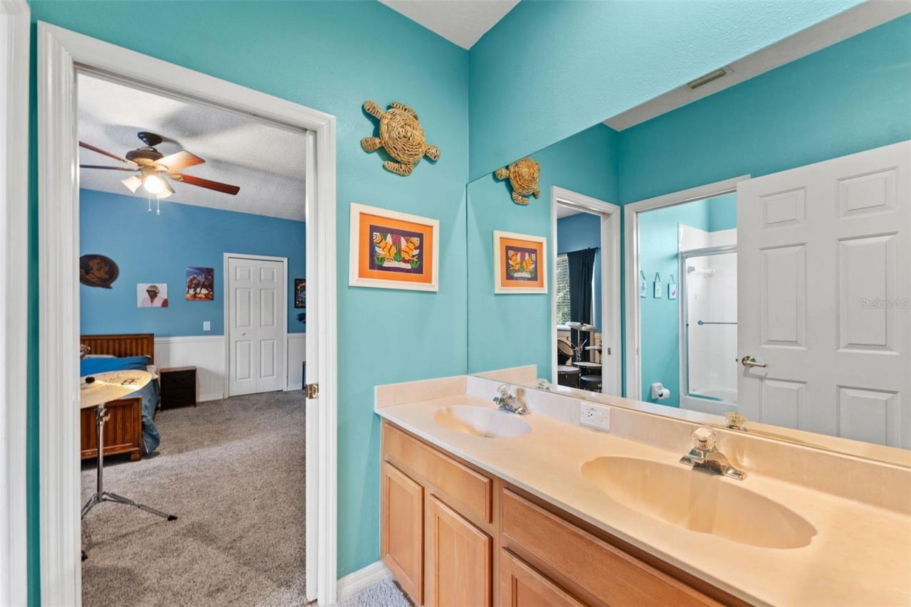 11615 Renaissance View Court, Tampa, FL 33626 Photo