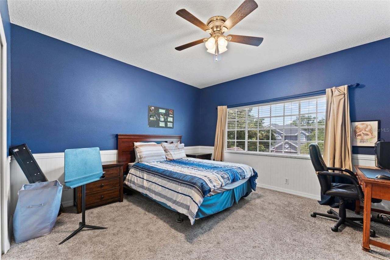 11615 Renaissance View Court, Tampa, FL 33626 Photo