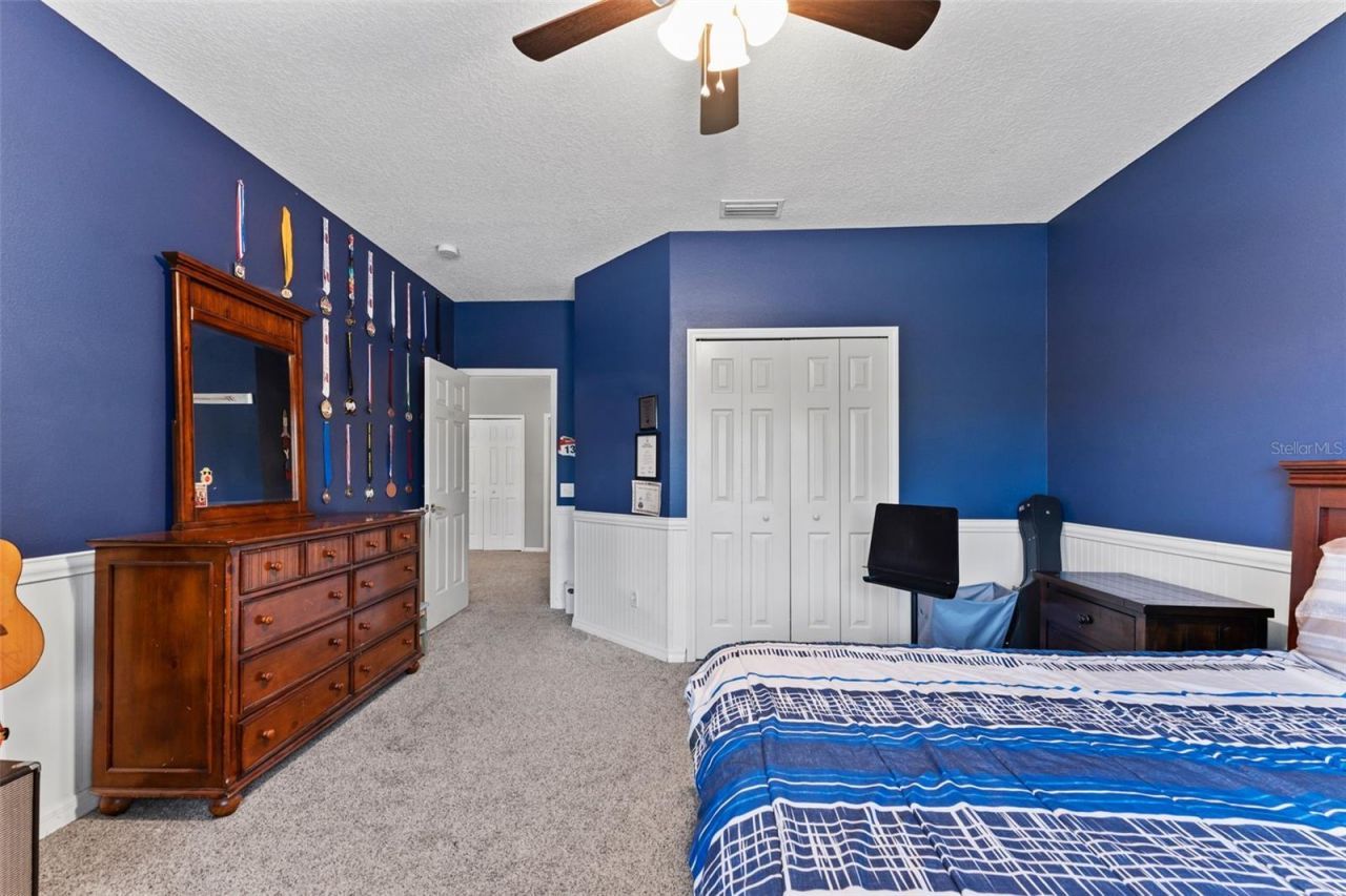 11615 Renaissance View Court, Tampa, FL 33626 Photo