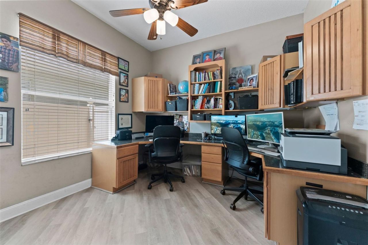 11615 Renaissance View Court, Tampa, FL 33626 Photo