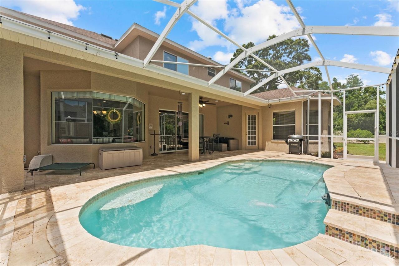 11615 Renaissance View Court, Tampa, FL 33626 Photo