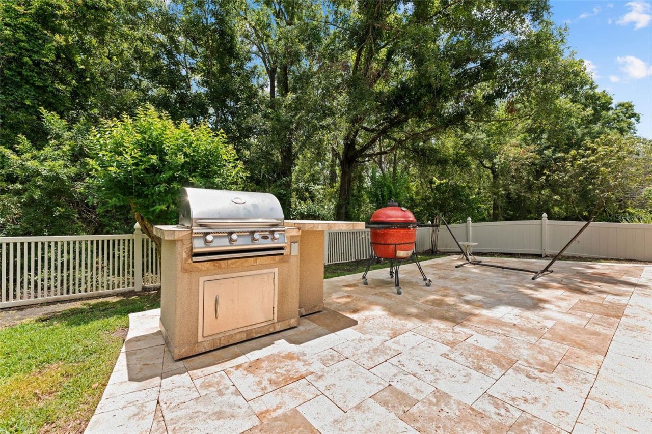 11615 Renaissance View Court, Tampa, FL 33626 Photo