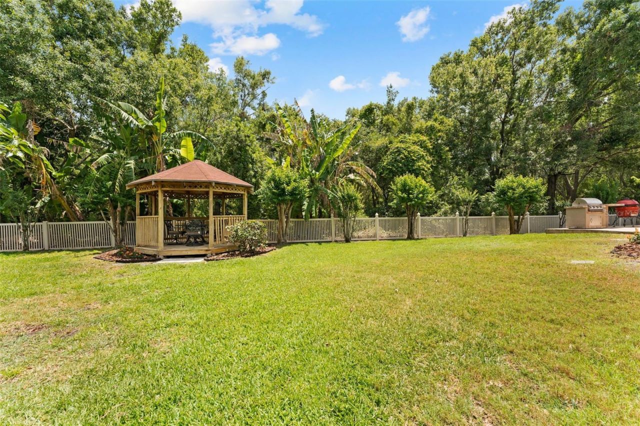 11615 Renaissance View Court, Tampa, FL 33626 Photo