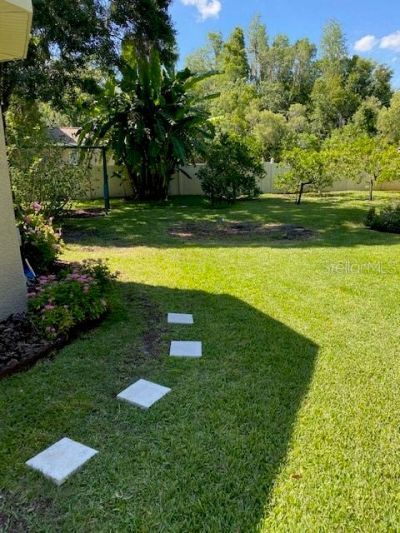 11615 Renaissance View Court, Tampa, FL 33626 Photo