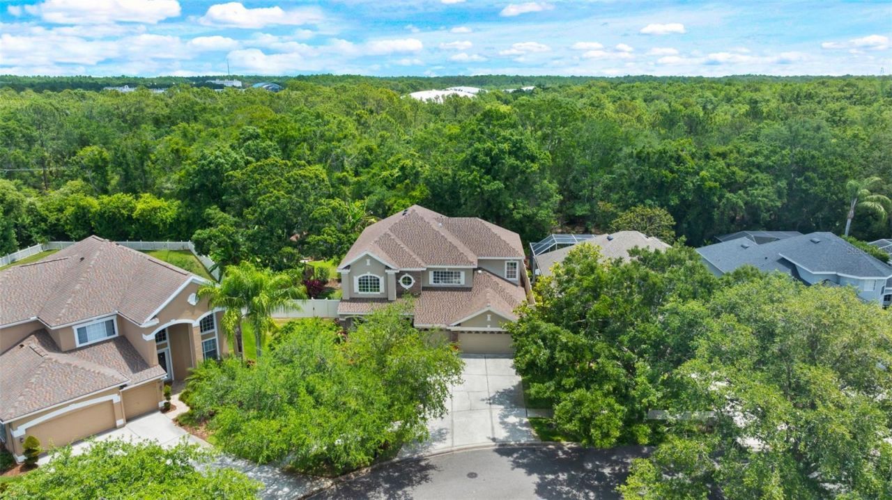 11615 Renaissance View Court, Tampa, FL 33626 Photo