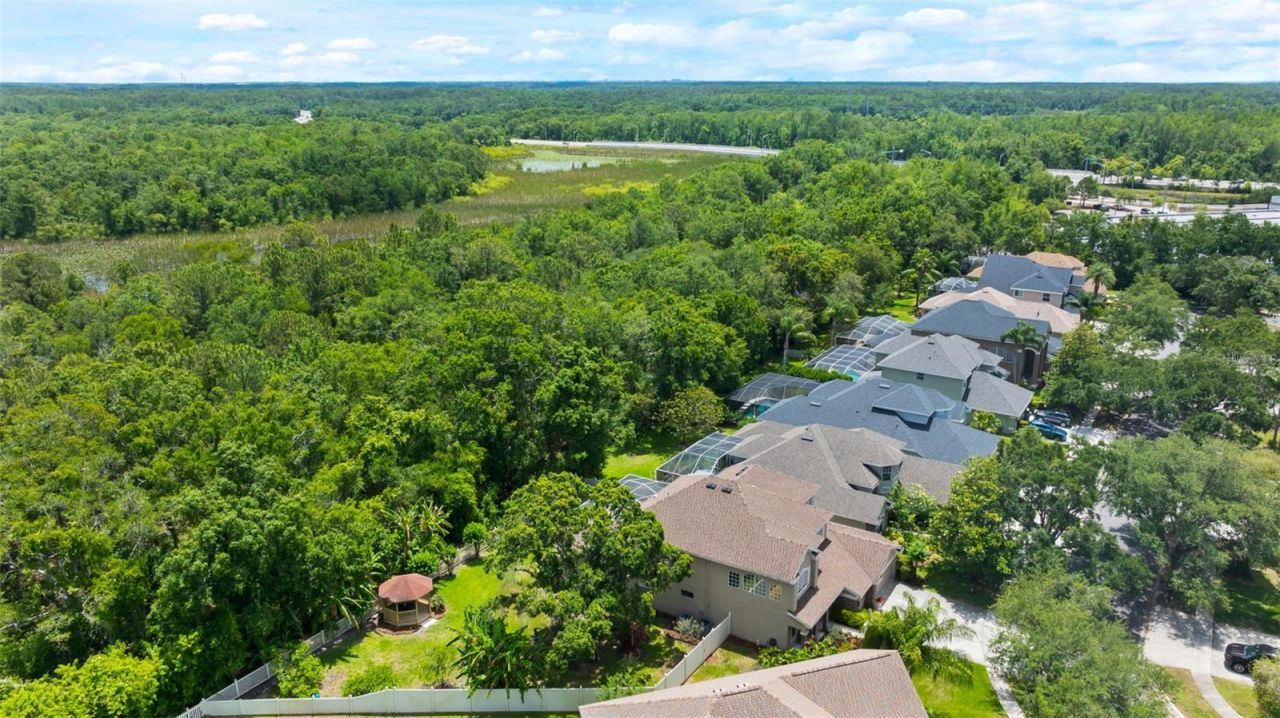 11615 Renaissance View Court, Tampa, FL 33626 Photo