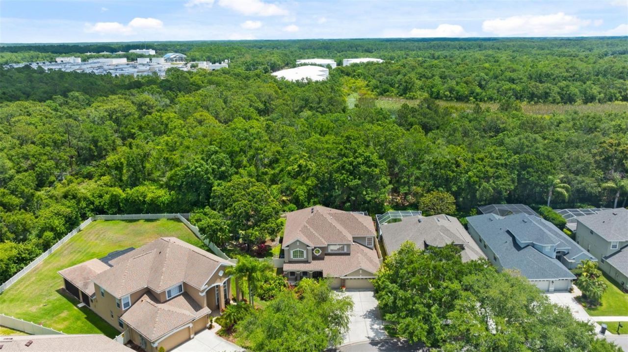 11615 Renaissance View Court, Tampa, FL 33626 Photo