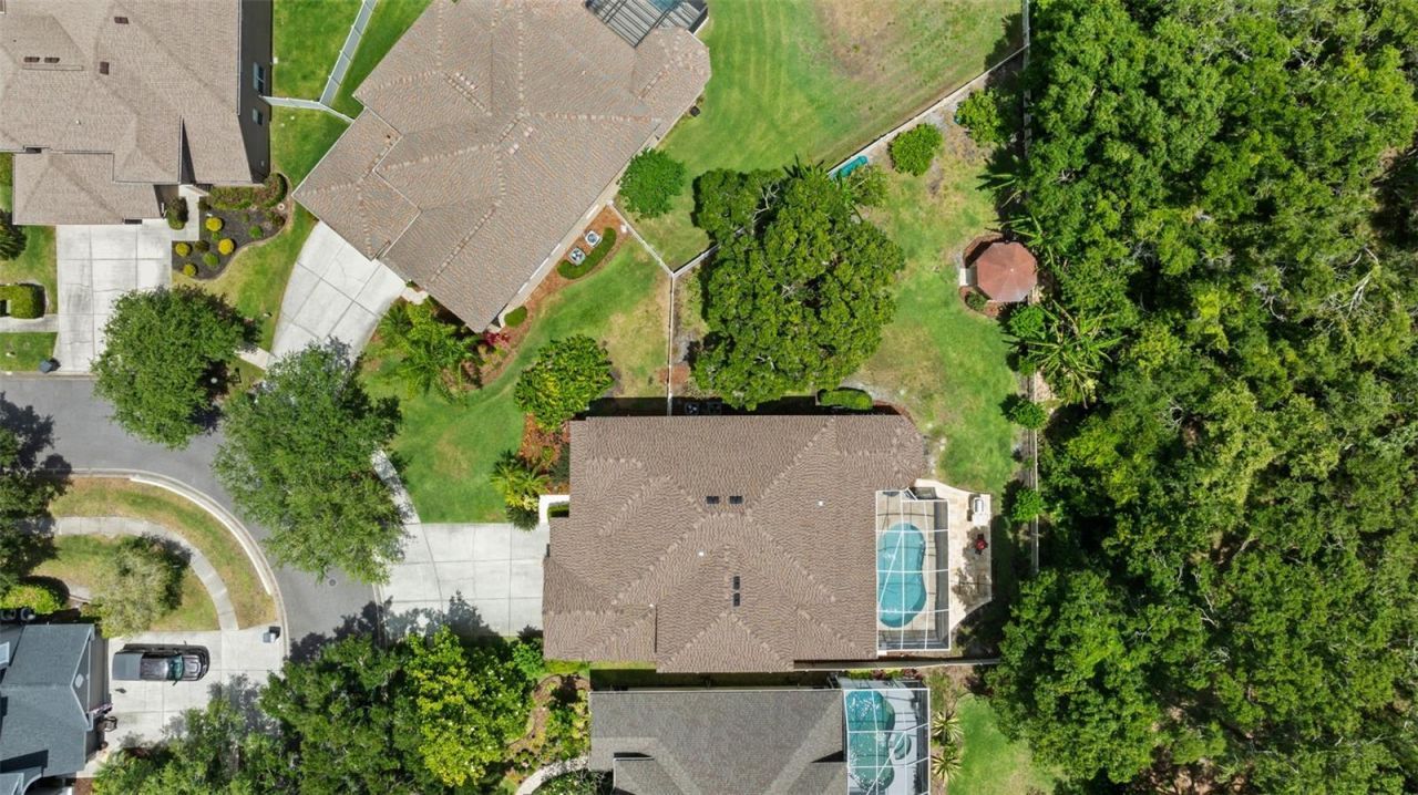 11615 Renaissance View Court, Tampa, FL 33626 Photo