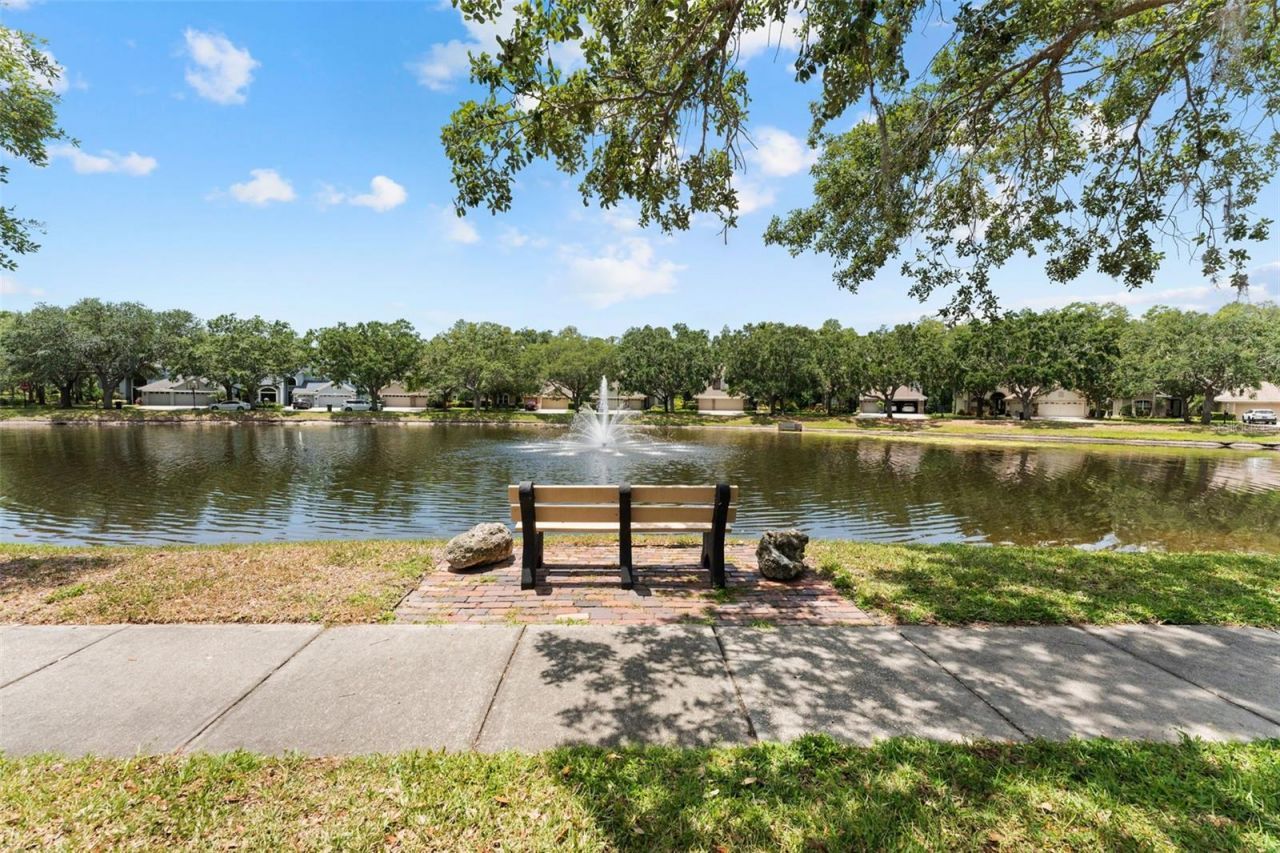 11615 Renaissance View Court, Tampa, FL 33626 Photo