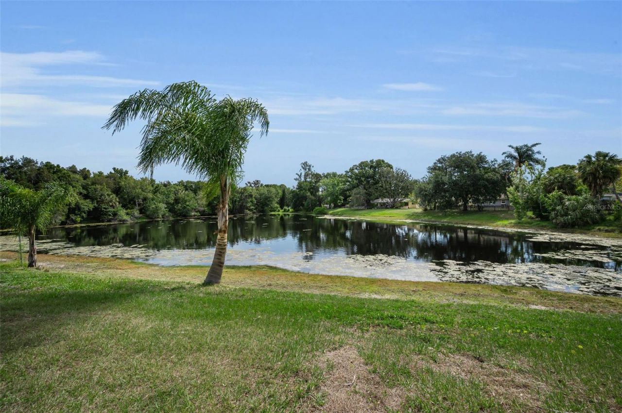 409 Graham Drive, Clearwater, FL 33765 Main Photo