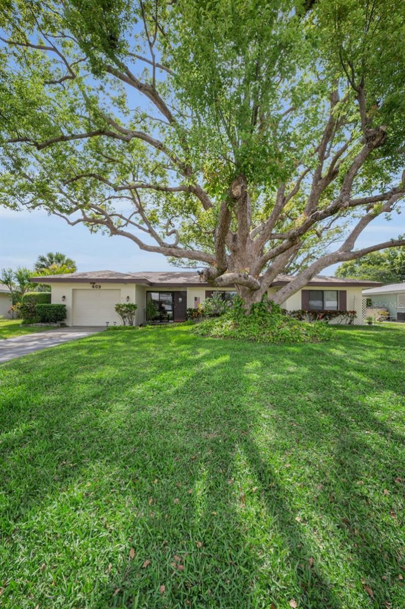 409 Graham Drive, Clearwater, FL 33765 Photo
