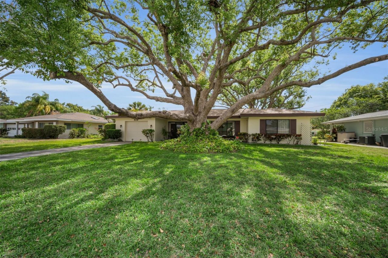 409 Graham Drive , Clearwater, FL 33765 Photo