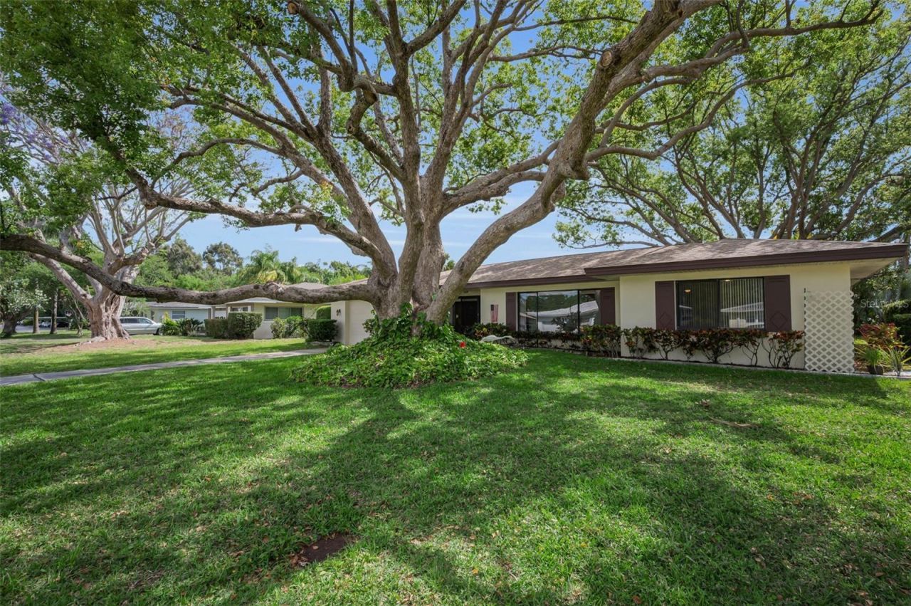 409 Graham Drive, Clearwater, FL 33765 Photo