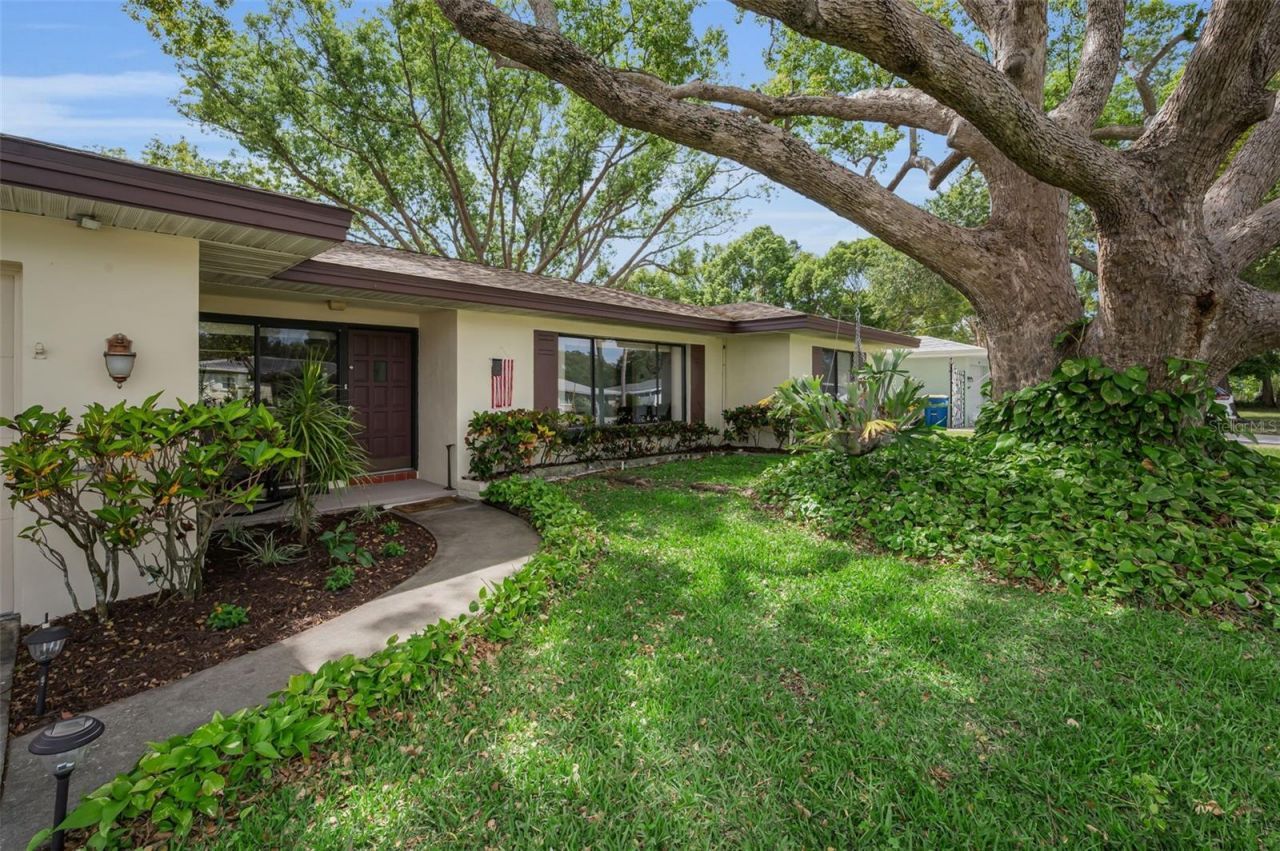 409 Graham Drive, Clearwater, FL 33765 Photo