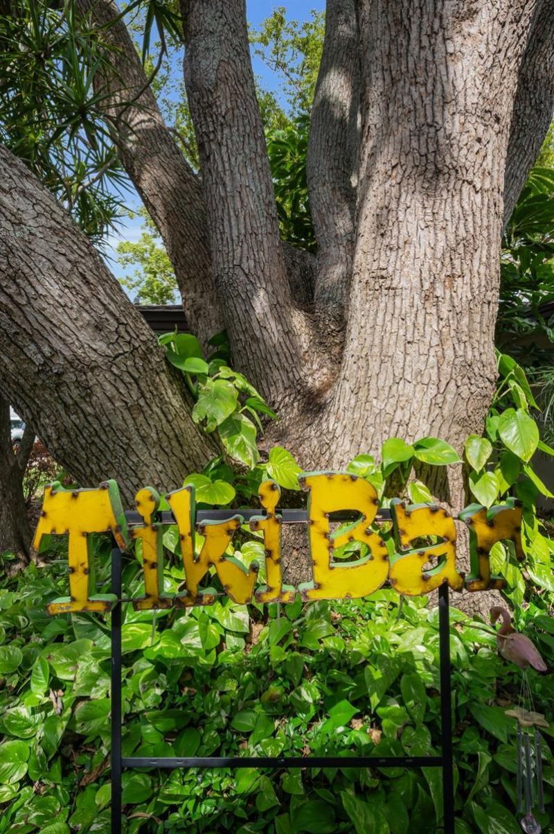 409 Graham Drive , Clearwater, FL 33765 Photo