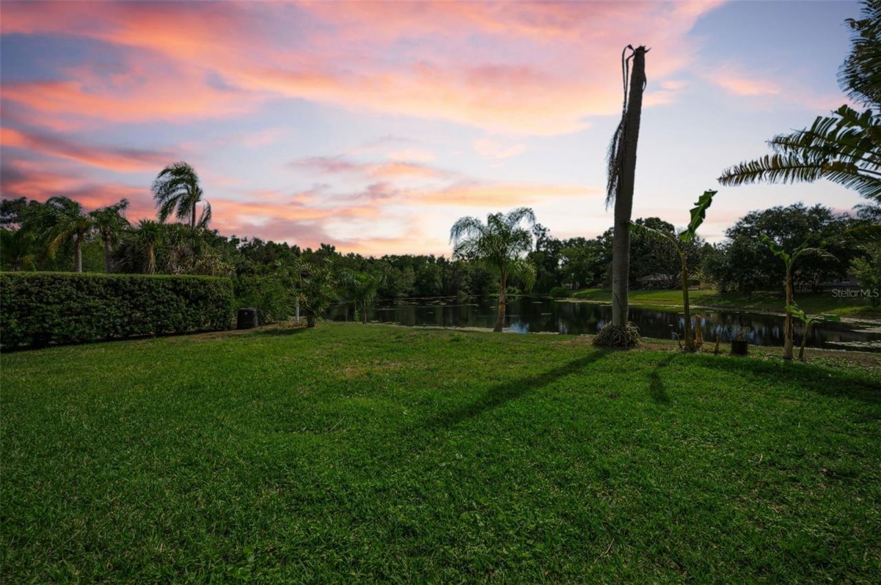 409 Graham Drive , Clearwater, FL 33765 Photo