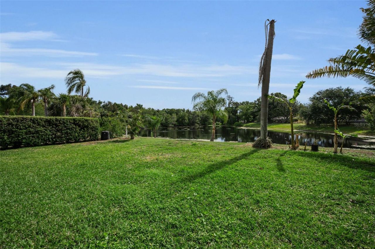 409 Graham Drive, Clearwater, FL 33765 Photo