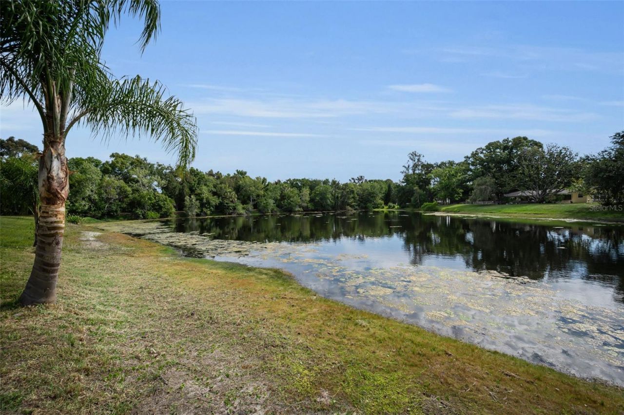 409 Graham Drive, Clearwater, FL 33765 Photo