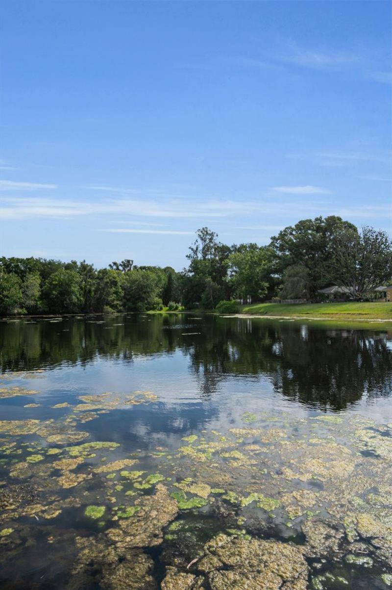 409 Graham Drive , Clearwater, FL 33765 Photo