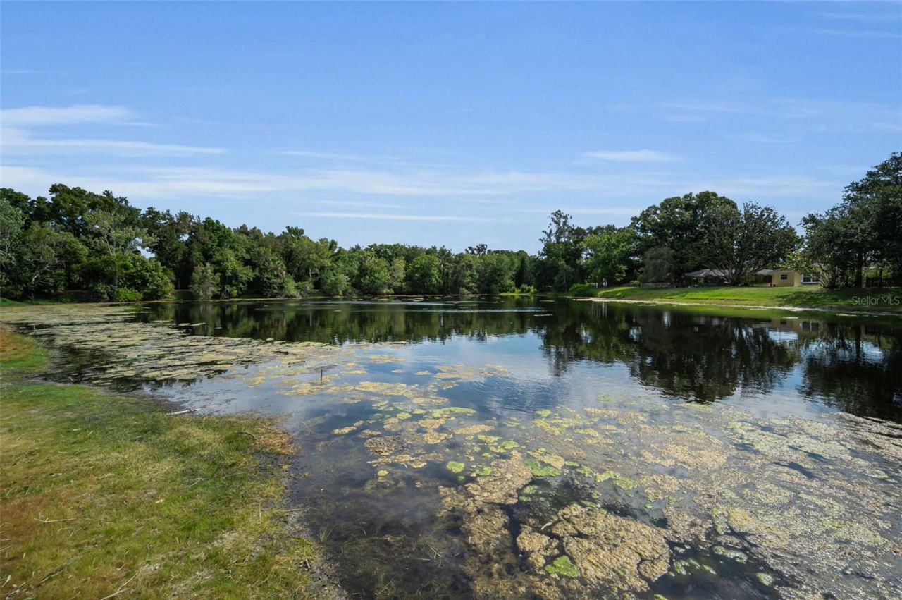 409 Graham Drive, Clearwater, FL 33765 Photo