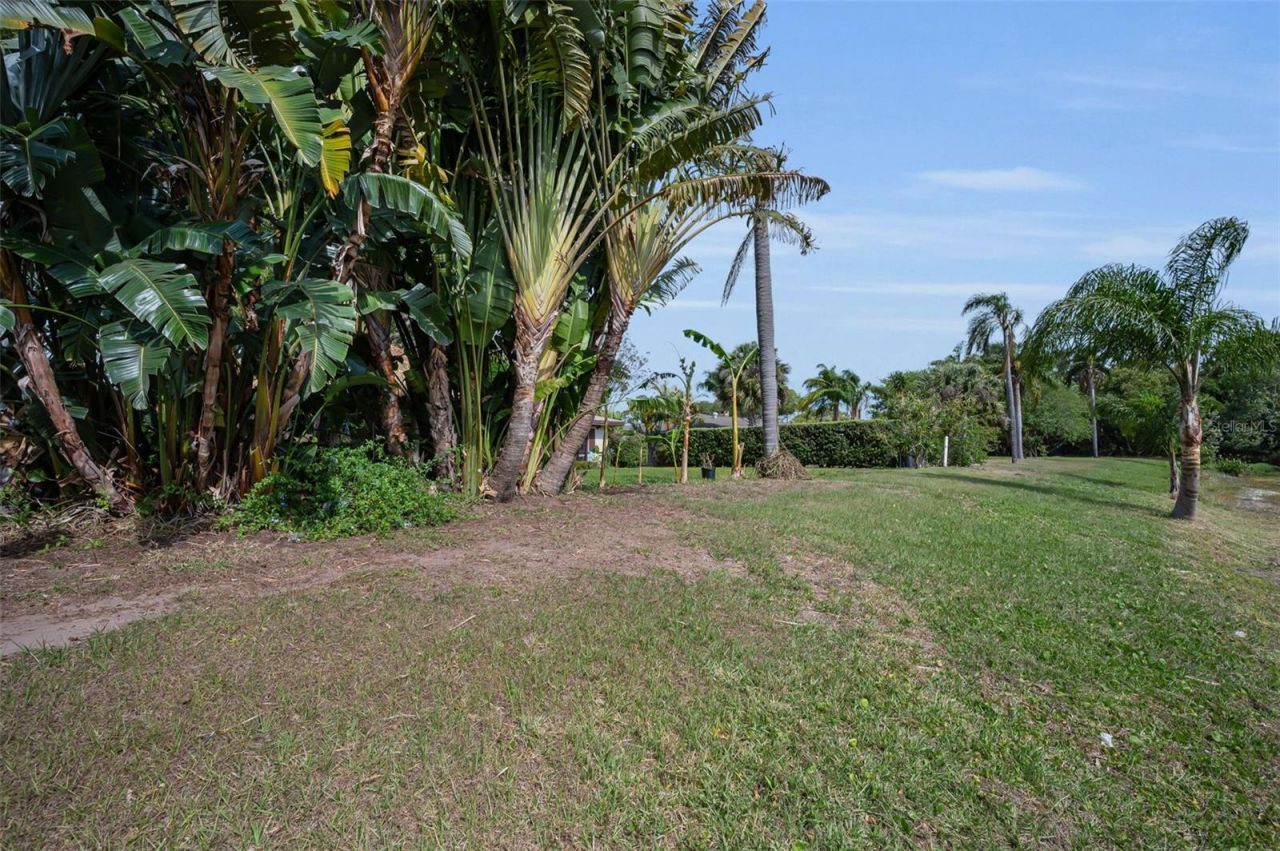 409 Graham Drive, Clearwater, FL 33765 Photo