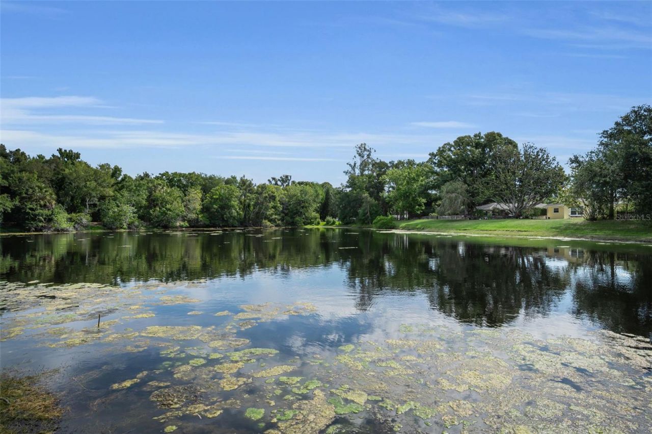 409 Graham Drive , Clearwater, FL 33765 Photo