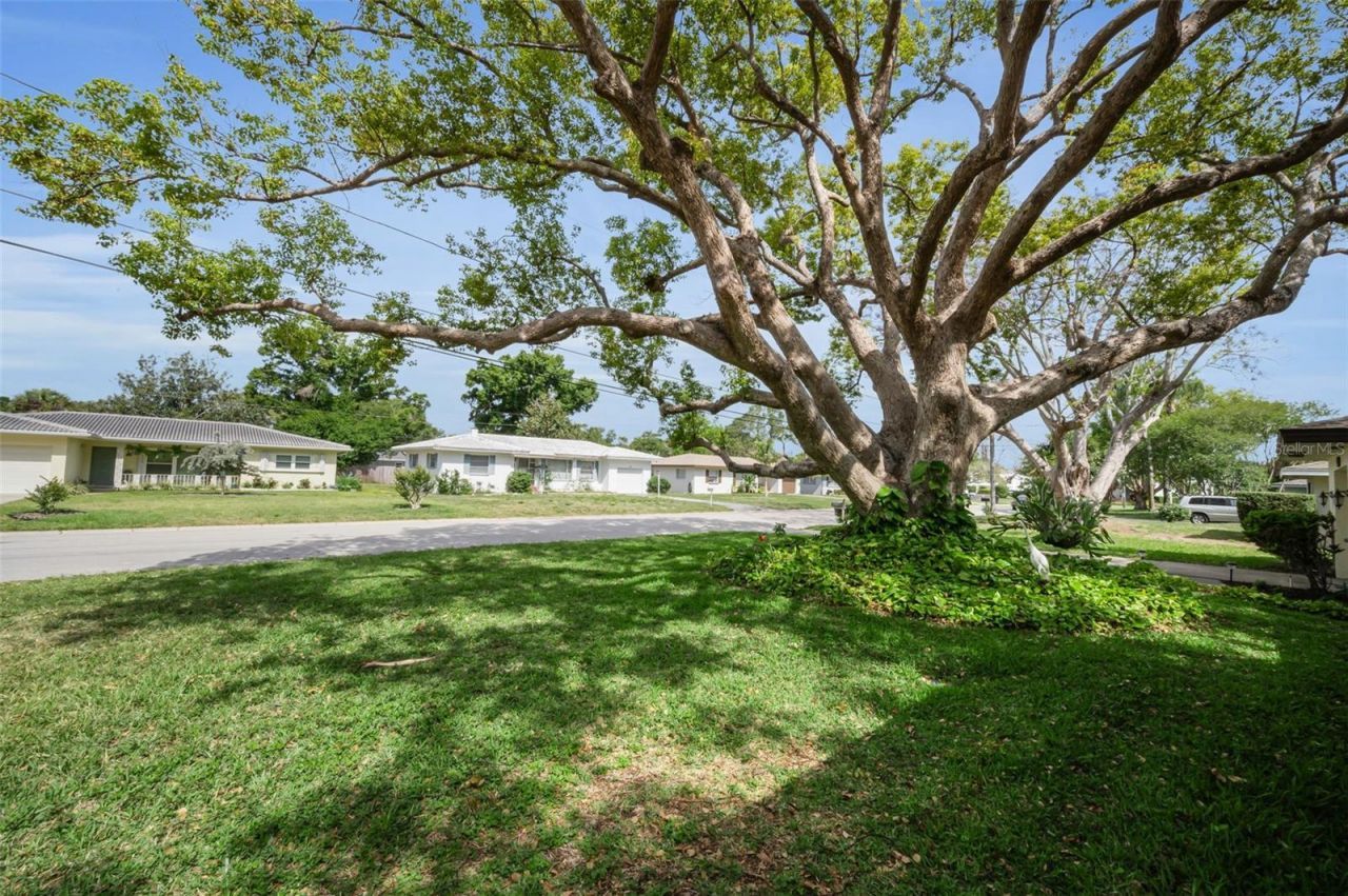 409 Graham Drive , Clearwater, FL 33765 Photo