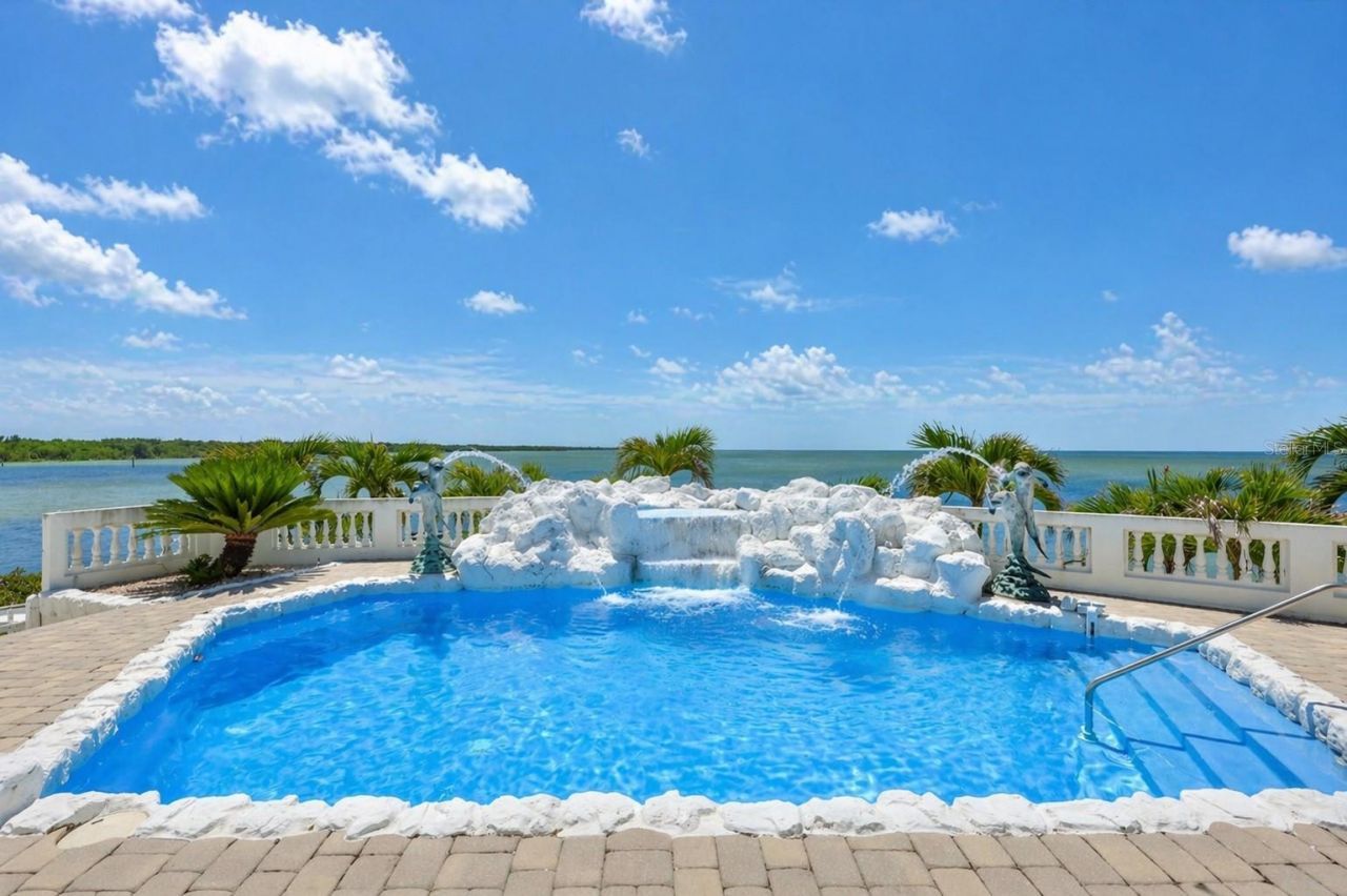 1021 Symphony Isles Boulevard, Apollo Beach, FL 33572 Photo