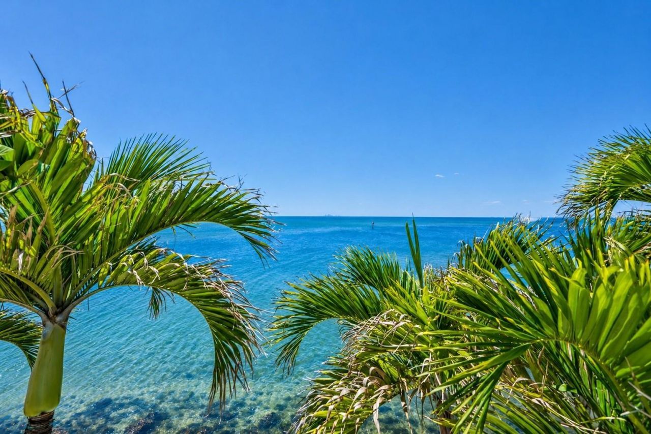 1021 Symphony Isles Boulevard, Apollo Beach, FL 33572 Photo