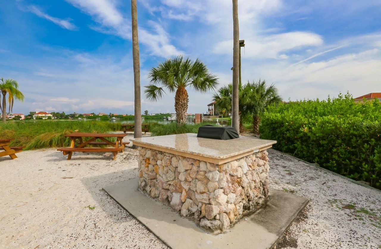 1021 Symphony Isles Boulevard, Apollo Beach, FL 33572 Photo