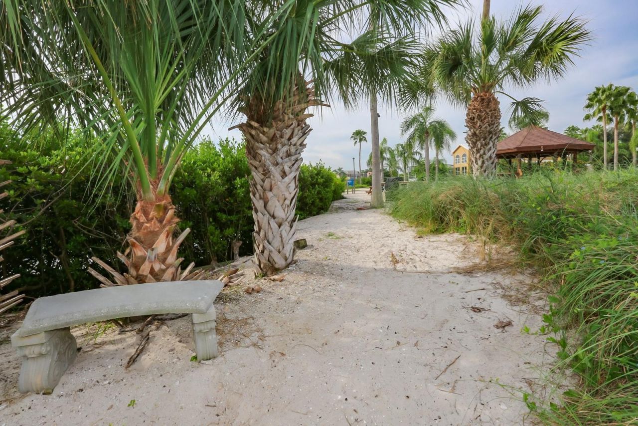1021 Symphony Isles Boulevard, Apollo Beach, FL 33572 Photo