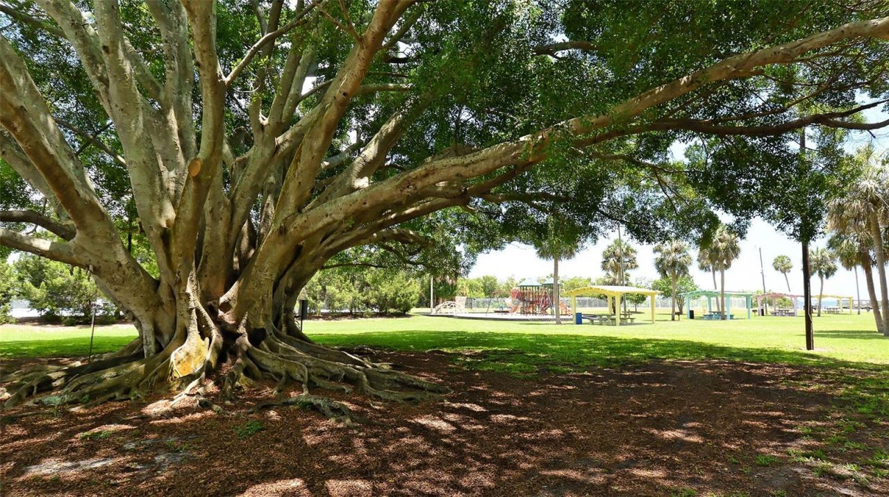 1554 Pleasant Road, Unit J5, Bradenton, FL 34207 Photo