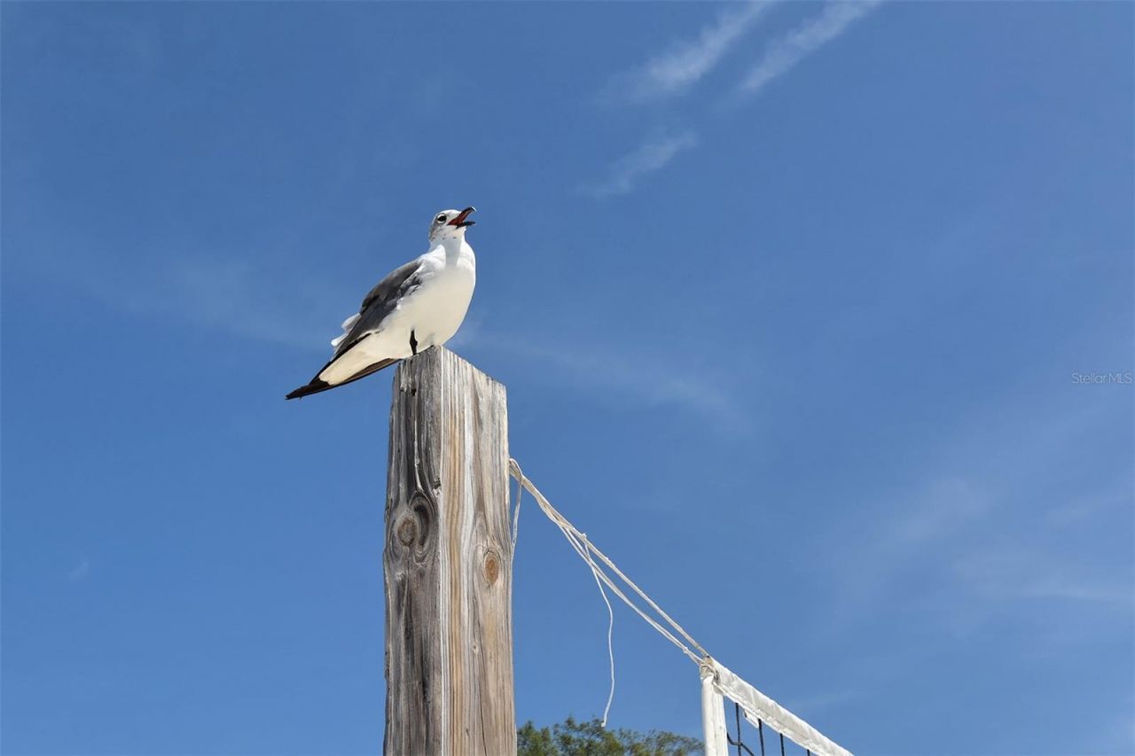 6921 Holmes Boulevard, Holmes Beach, FL 34217 Photo