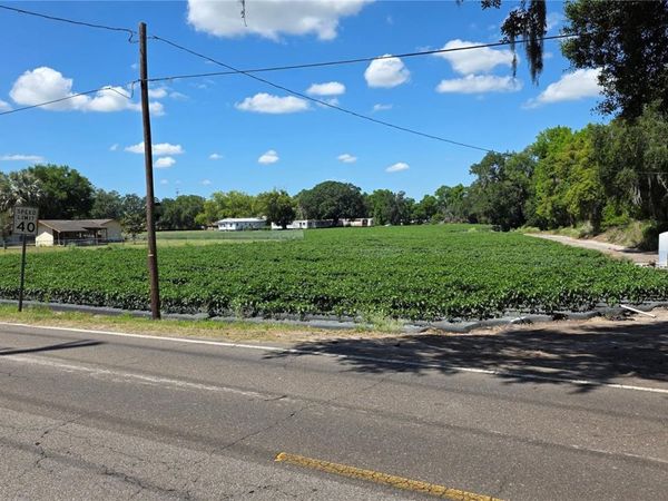 GALLAGHER ROAD , DOVER, FL 33527