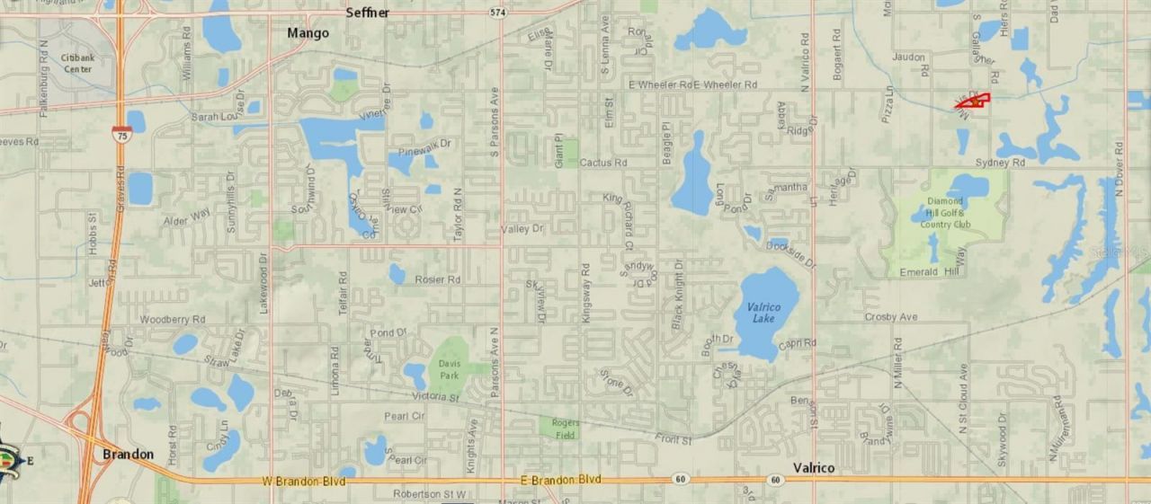 Gallagher Road , Dover, FL 33527 Photo