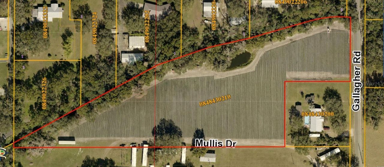 Gallagher Road , Dover, FL 33527 Photo