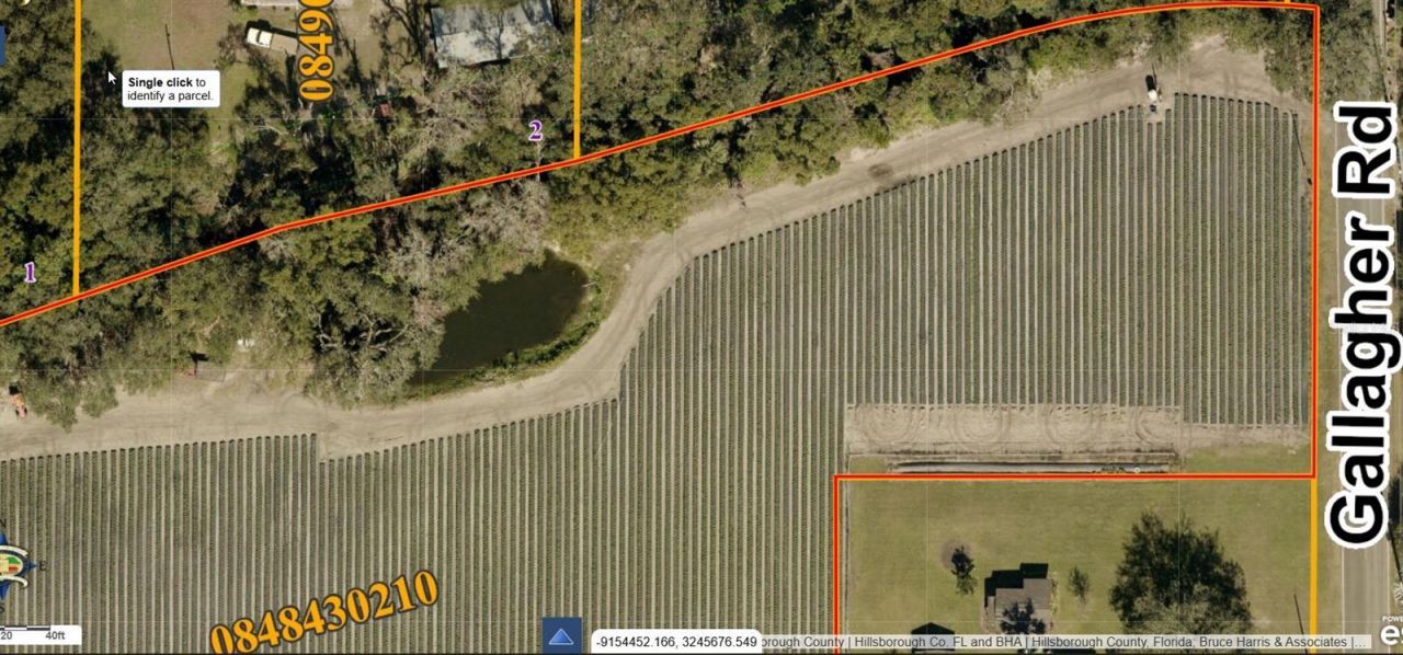 Gallagher Road , Dover, FL 33527 Photo