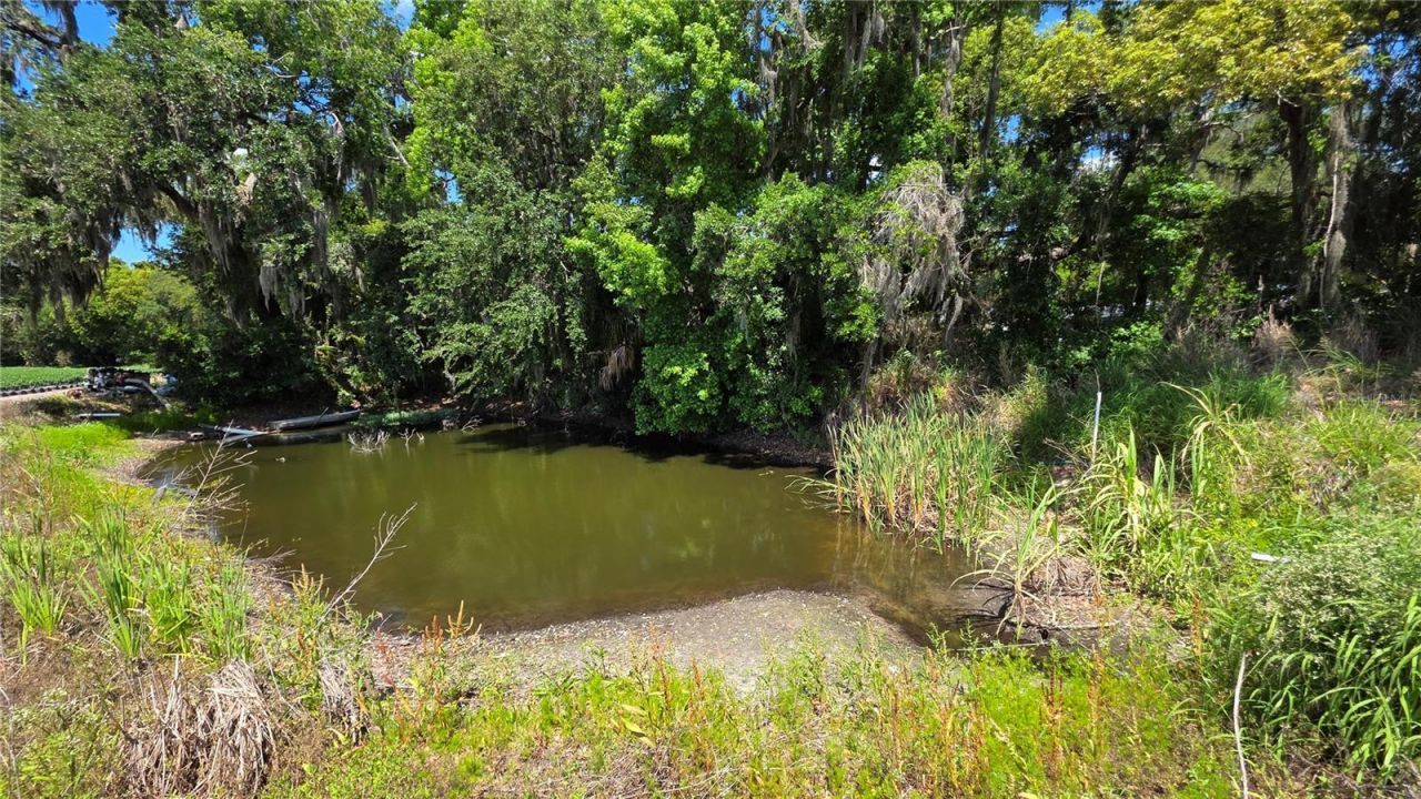 Gallagher Road , Dover, FL 33527 Photo