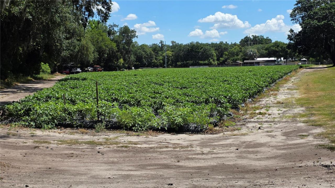 Gallagher Road , Dover, FL 33527 Photo
