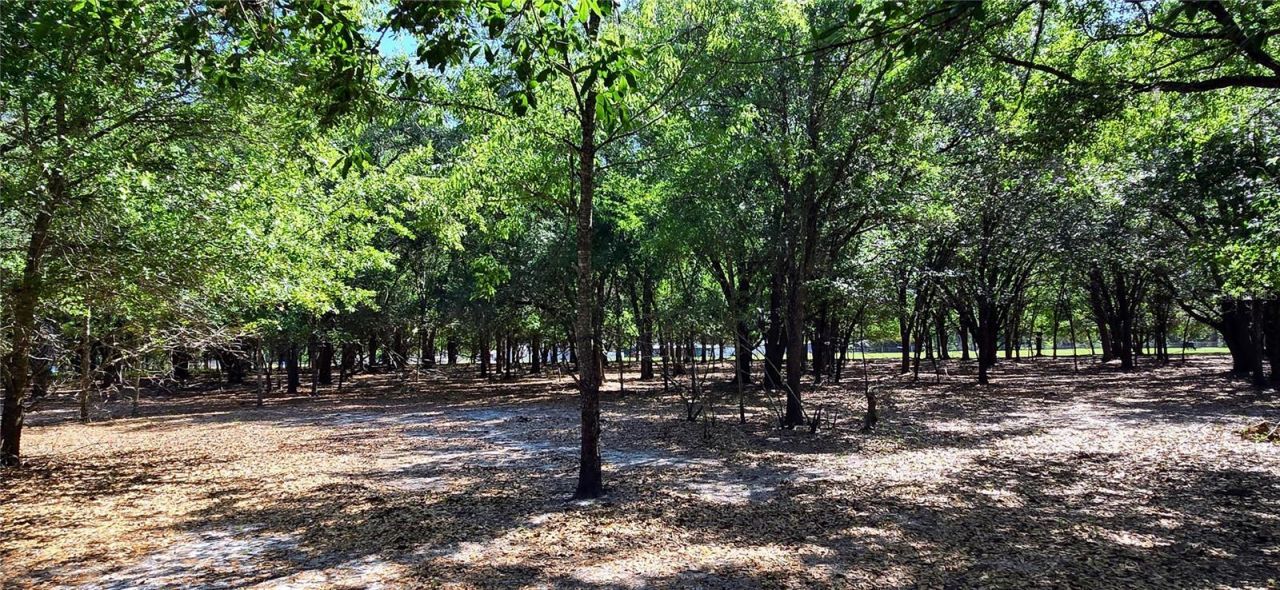 0 Connell Road , Plant City, FL 33567 Photo