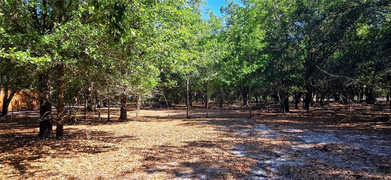 0 Connell Road , Plant City, FL 33567 Photo