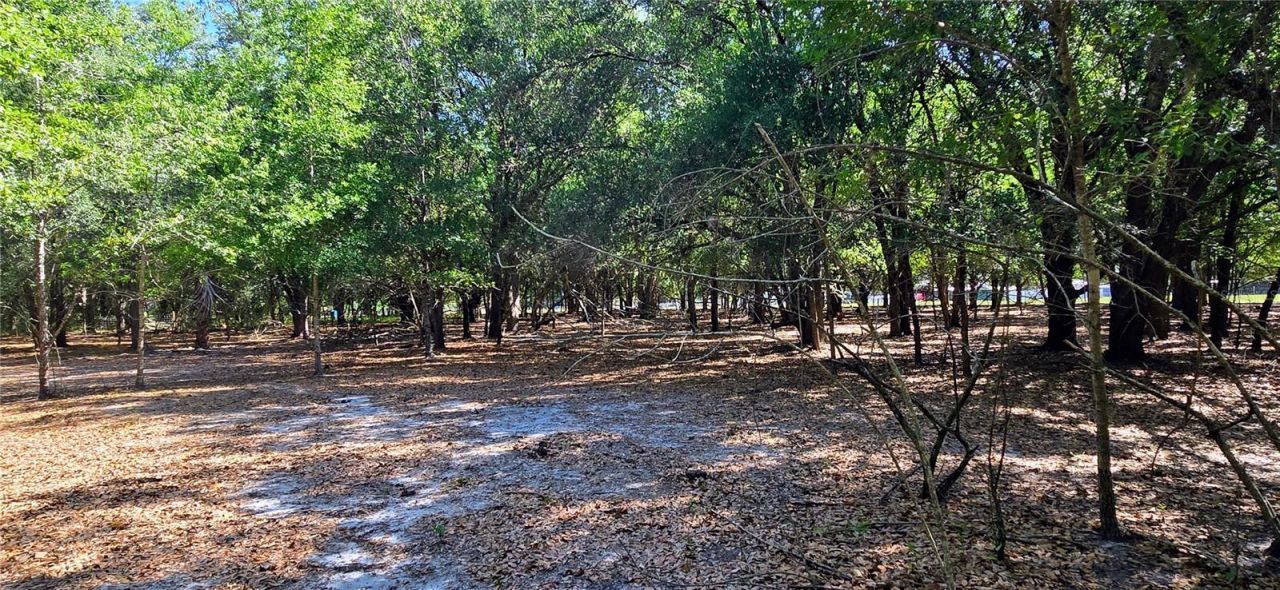 0 Connell Road , Plant City, FL 33567 Photo
