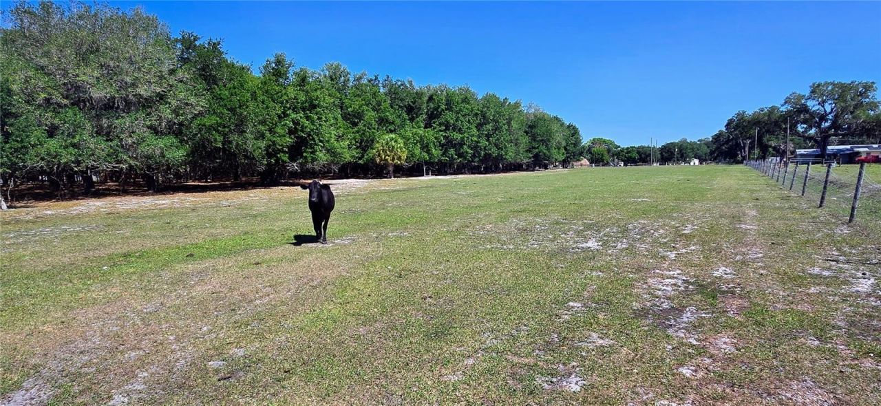 0 Connell Road , Plant City, FL 33567 Photo