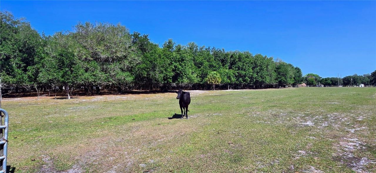 0 Connell Road , Plant City, FL 33567 Photo