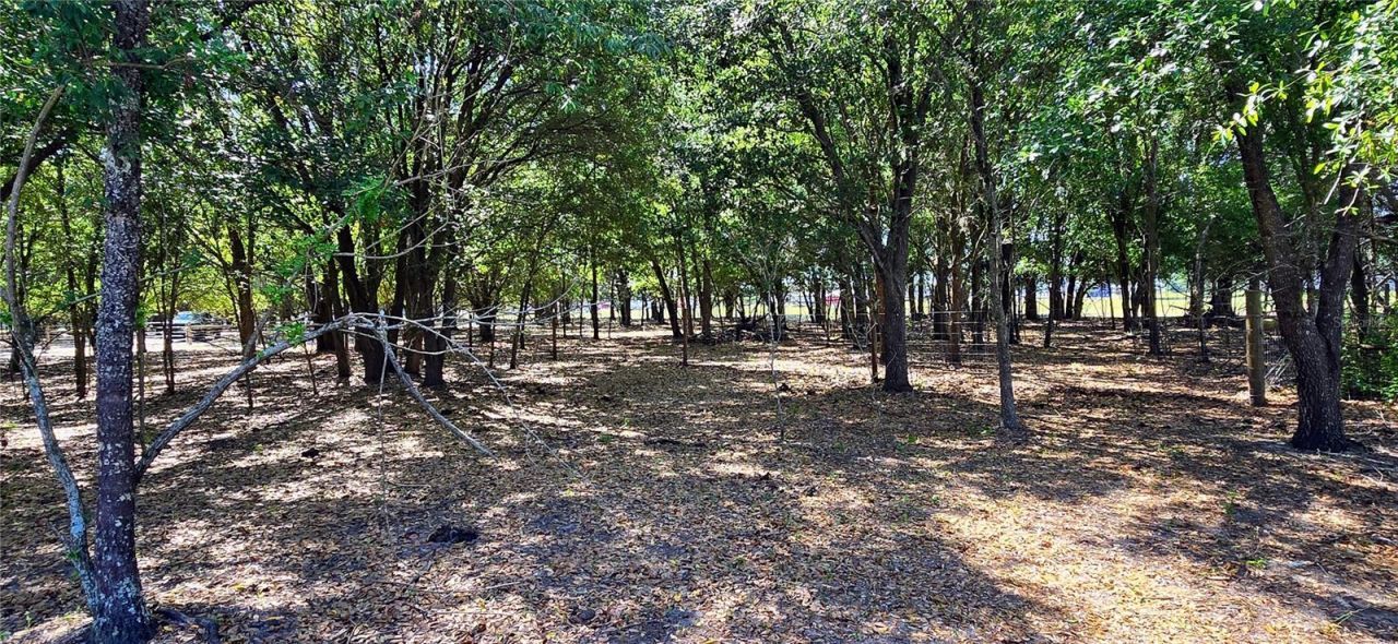 0 Connell Road , Plant City, FL 33567 Photo