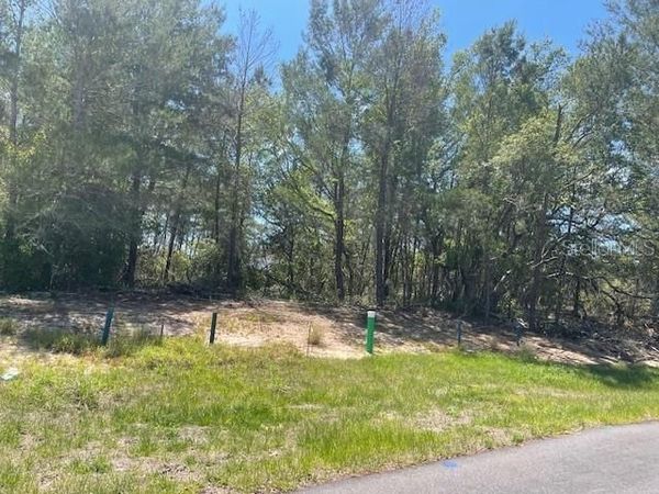 1342 HOMOSASSA DRIVE , POINCIANA, FL 34759