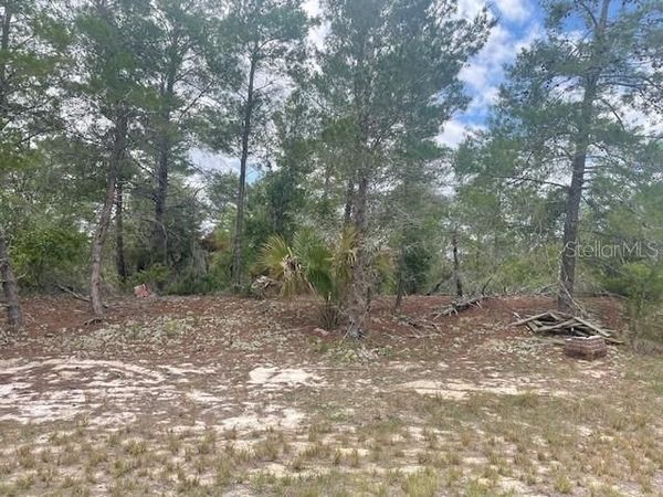 1342 HOMOSASSA DRIVE, POINCIANA, FL 34759