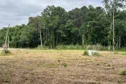 193 Evergreen Lane photo 4
