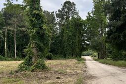 193 Evergreen Lane photo 4