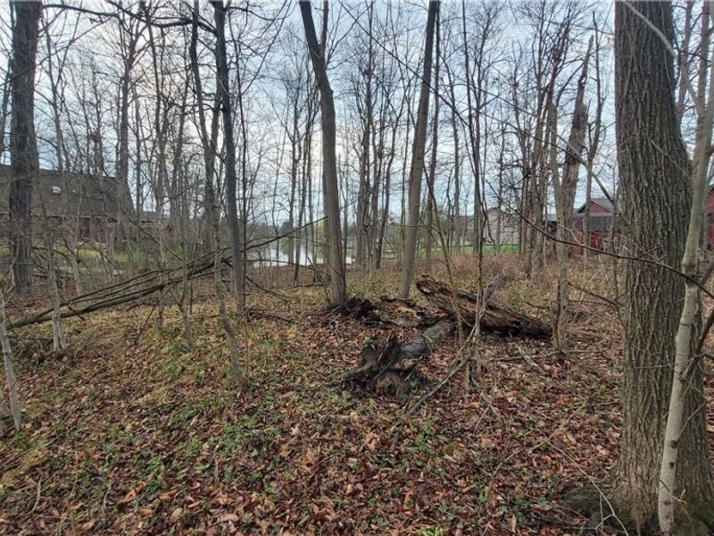 5034 Maderia Drive, West Salem, OH 44287 Photo 32